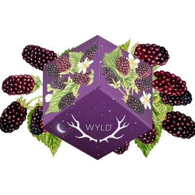 Alternative view of WYLD - Boysenberry 1:1:1 CBD:CBN + Indica Enhanced Gummies