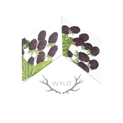 WYLD - Marionberry Indica Enhanced Gummies 100mg - Image 3