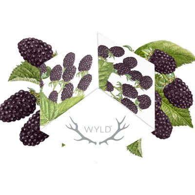 Alternative view of WYLD - Marionberry Indica Enhanced Gummies 100mg