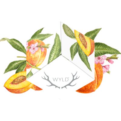 Alternative view of WYLD - Peach 2:1 CBD + Hybrid Enhanced Gummies 100:50mg