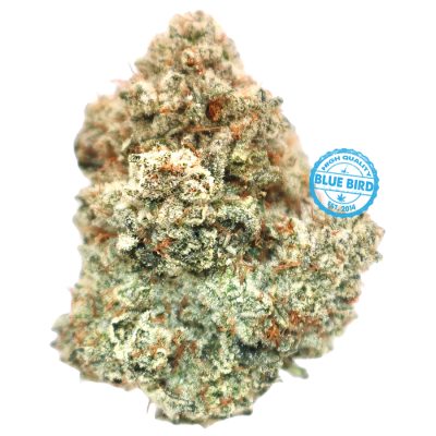 Grease Monkey - ($200 Oz. Deal)