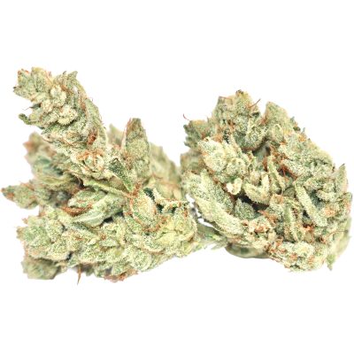 White Gorilla - ($200 Oz. Deal) - Image 3