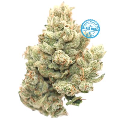 Alternative view of White Gorilla - ($200 Oz. Deal)