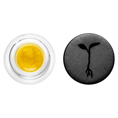 Raw Garden - Diesel Jack Live Sauce (1G) - Image 3