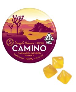 Camino Pineapple Habanero "Uplifting" Gummies