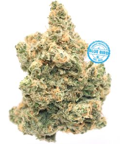 Blue Dream