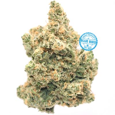 Blue Dream