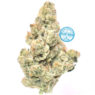 Alien Cookies