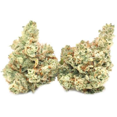 Alternative view of Gorilla Glue #4