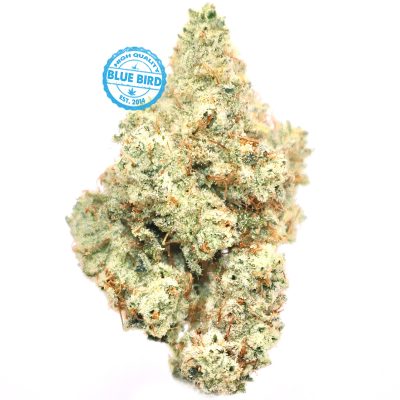 Gorilla Glue #4