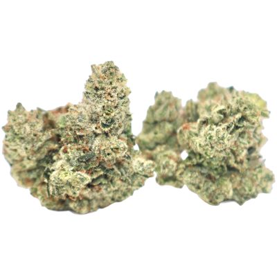 Alternative view of Purple Gorilla