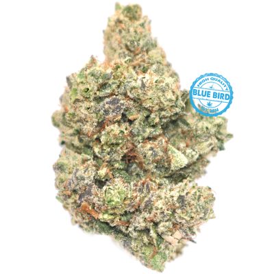 Purple Gorilla