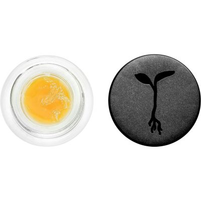 Raw Garden - Mother's Milk #31 Live Badder (1G) - Image 3