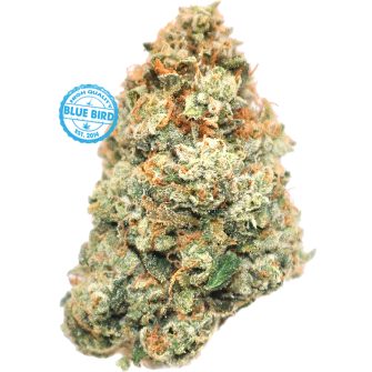 Hawaiian OG - ($200 Oz. Deal)