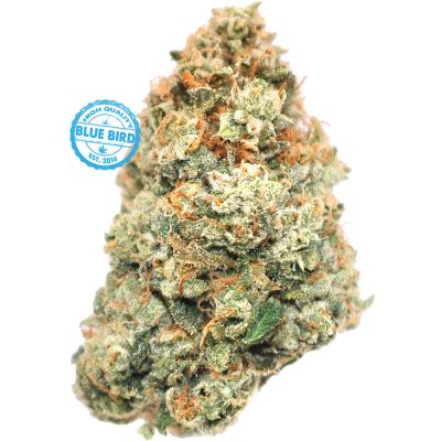 Hawaiian OG