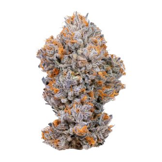 Biscotti 2 white