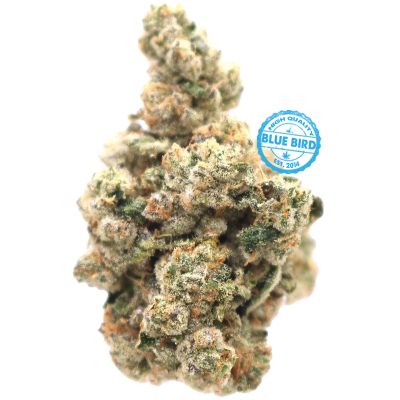 Alternative view of Gas OG