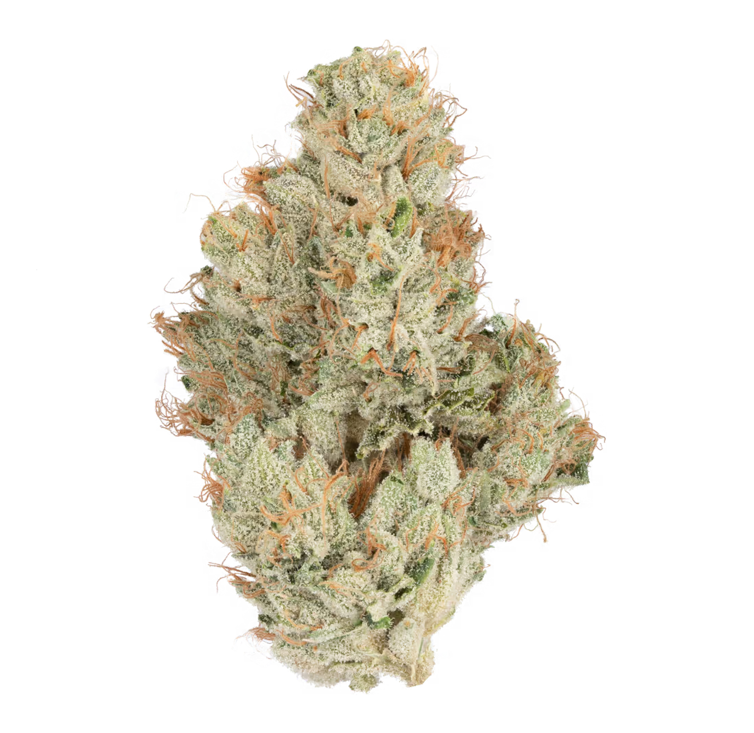 Heirbloom Legacy Flower - SFV OG 3.5G - Image 2